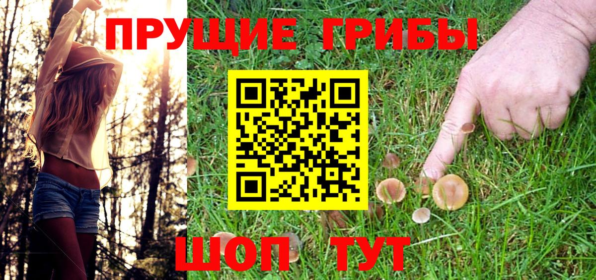 Галлюциногенные грибы GOLDEN TEACHER Усинск